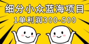细分小众蓝海项目，一单利润3张，每月收入稳定过1w+-知乎者也