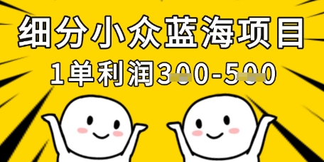 细分小众蓝海项目，一单利润3张，每月收入稳定过1w+-知乎者也