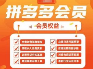 2025拼多多运营实战课,40节全流程教学,覆盖拼多多运营全链路-知乎者也