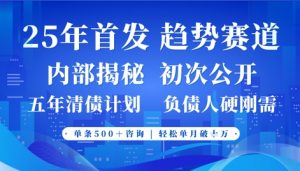 2025年首次公开,真正的事业型赛道,客咨不断,单月轻松破W-知乎者也