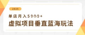 虚拟项目垂直玩法,实现单店月入5k+-知乎者也