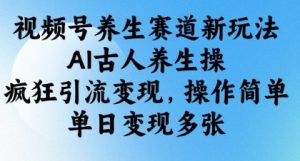 视频号养生赛道新玩法，AI古人养生操，疯狂引流变现，操作简单，单日变现多张-知乎者也