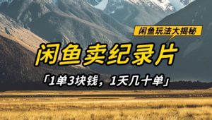 闲鱼卖纪录片1单3块钱，1天几十单，项目稳定有潜力-知乎者也