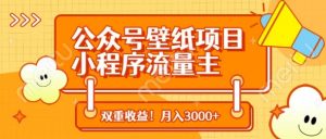 公众号壁纸项目,小程序流量主双收益,月入3000+-知乎者也