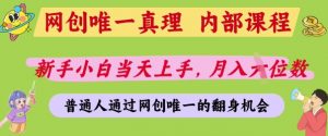 网创唯一真理,内部课程,新手小白当天上手,月入5位数,普通人通过网创唯一的机会【揭秘】-知乎者也