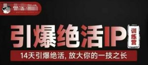 引爆绝活IP训练营,14天引爆绝活,放大你的一技之长-知乎者也