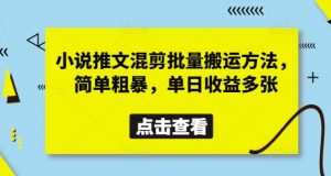 小说推文混剪批量搬运方法，简单粗暴，单日收益多张-知乎者也