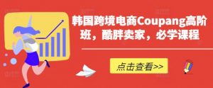 韩国跨境电商Coupang高阶班,酷胖卖家,必学课程-知乎者也