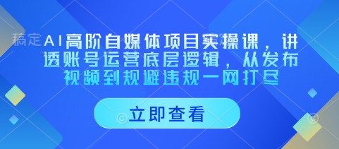 AI高阶自媒体项目实操课,讲透账号运营底层逻辑,从发布视频到规避违规一网打尽-知乎者也