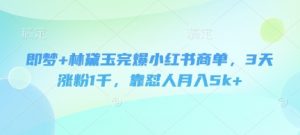 即梦+林黛玉完爆小红书商单,3天涨粉1千,靠怼人月入5k+-知乎者也