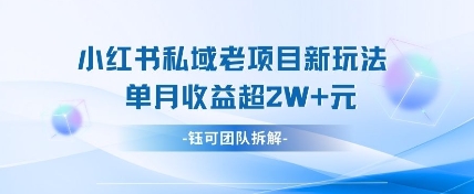 小红书私域项目新玩法,单月变现过W+-知乎者也