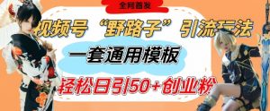 视频号“野路子”玩法,评论区疯狂截流,一套模板单日单号引流50+创业粉-知乎者也