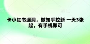 卡小红书漏洞，做知乎拉新 一天3张起，有手机即可-知乎者也