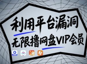 利用平台漏洞，无限撸网盘VIP会员，用户亲测有效!【漏洞原理+操作演示】-知乎者也