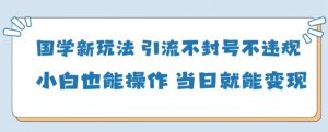 国学新玩法,引流不封号不违规小白也能操作,当日就能变现-知乎者也