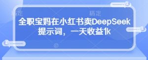 全职宝妈在小红书卖DeepSeek提示词,一天收益1k-知乎者也