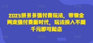 2025拼多多强付费玩法，带领全网走强付费新时代，玩法投入不超千元即可起店-知乎者也