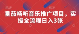 番茄畅听音乐推广项目，实操全流程日入3张-知乎者也