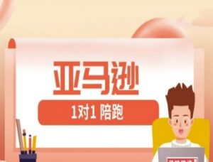 亚马逊1对1陪跑课(FBA/FBM精铺)跨境亚马逊教程-知乎者也