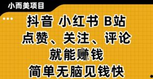 小而美的项目,抖音小红书B站视频点赞、关注、评论就能挣钱,简单无脑立见收益,妥妥的零撸项目【揭秘】-知乎者也