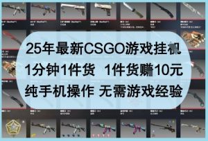 25年最新CSGO游戏挂G，1分钟1件货，1件货挣10元，纯手机操作，无需游戏经验【揭秘】-知乎者也
