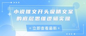 小说推文开头吸睛文案的底层思维逻辑实操-知乎者也