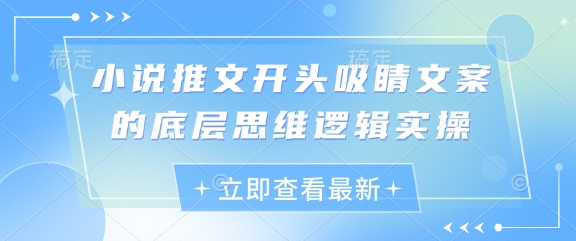小说推文开头吸睛文案的底层思维逻辑实操-知乎者也