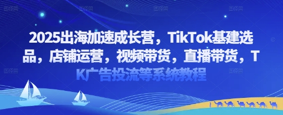 2025出海加速成长营,TikTok基建选品,店铺运营,视频带货,直播带货,TK广告投流等系统教程-知乎者也
