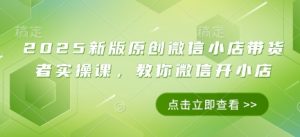 2025新版原创微信小店带货者实操课,教你微信开小店-知乎者也