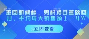 重回即颠峰,男粉项目重磅回归,平均每天销售额1-4W-知乎者也