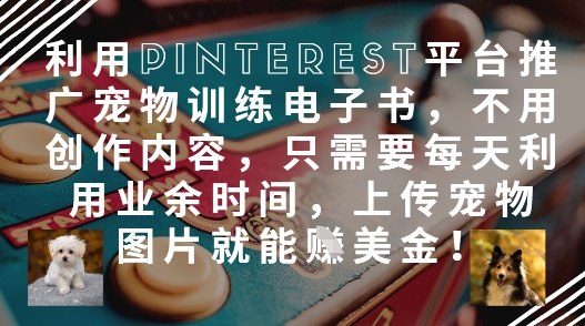 利用Pinterest平台推广宠物训练电子书,不用创作内容,只需要每天利用业余时间,上传宠物图片就能挣美金!-知乎者也