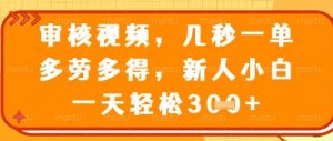 视频审核员，几秒一单，不限时间，不限地点，多做多得，新人小白一天轻松几张+【揭秘】-知乎者也