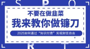 韭菜生涯终结者,我来教你做镰刀,2025如何通过“知识付费”实现财F自由【揭秘】-知乎者也