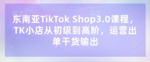 东南亚TikTok Shop3.0课程,TK小店从初级到高阶,运营出单干货输出-知乎者也
