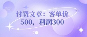付费文章:客单价500,利润300-知乎者也