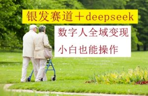 银发赛道+deepseek数字人全域变现，小白也能操作-知乎者也