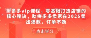 拼多多vip课程,零基础打造店铺的核心秘诀,助拼多多卖家在2025卖出爆款,订单不断-知乎者也