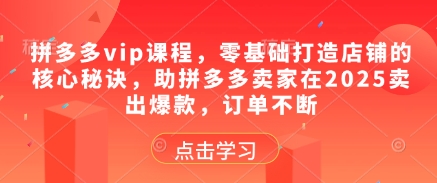 拼多多vip课程,零基础打造店铺的核心秘诀,助拼多多卖家在2025卖出爆款,订单不断-知乎者也
