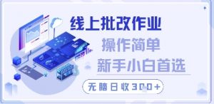 线上批改作业，操作简单新手小白首选，无脑日收300+【揭秘】-知乎者也