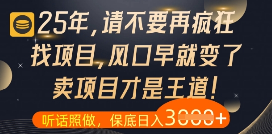 什么？25年你还在疯狂找项目做，醒醒吧，看完这些你全都懂了【揭秘】-知乎者也
