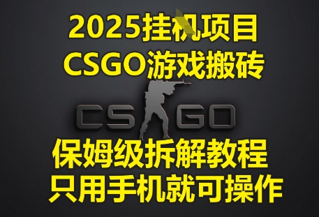 2025挂G项目,CSGO游戏搬砖,保姆级拆解教程,只用手机就可操作【揭秘】-知乎者也