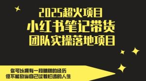 2025超火项目,副业最佳选择,小红书笔记带货团队实操落地项目,,轻松日入5张-知乎者也