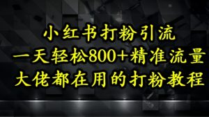 小红书打粉引流,一天轻松500+精准流量,大佬都在用的打粉教程-知乎者也
