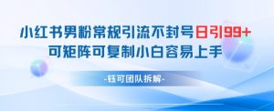 小红书男粉常规引流不封号日引99+变现简单 可矩阵可复制小白容易上手-知乎者也