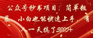 公众号抄书项目,简单粗暴,小白也能快速上手,有人一天搞了1k+-知乎者也