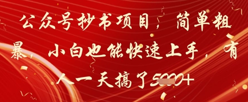 公众号抄书项目,简单粗暴,小白也能快速上手,有人一天搞了1k+-知乎者也