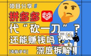 【2025最新】拼多多代坎助力项目深度拆解:还能挣钱吗?全流程玩法-知乎者也