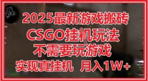 2025最新游戏搬砖,CSGO挂G,不需要玩游戏,实现真挂G,月入1W+【揭秘】-知乎者也