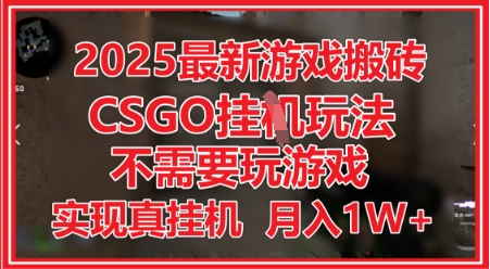 2025最新游戏搬砖,CSGO挂G,不需要玩游戏,实现真挂G,月入1W+【揭秘】-知乎者也