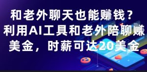和老外聊天也能挣钱?利用AI工具和老外陪聊挣美金,时薪可达20刀-知乎者也